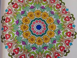 whatsapp bild 2024-07-23 um 12.17.13_34463da0